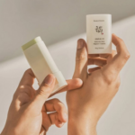 Beauty of Joseon Matte Sun Stick Mugwort + Camelia SPF 50+ PA++++ 6